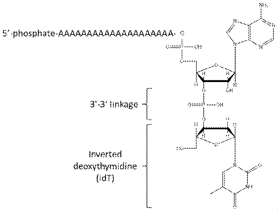 Figure imgf000105_0001