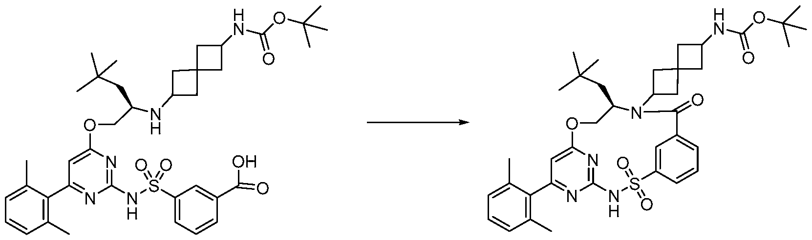 Figure imgf000289_0001