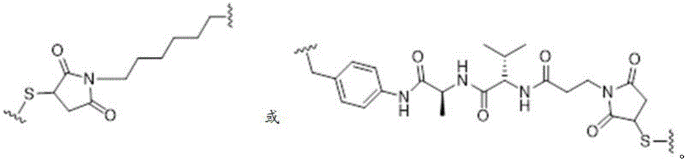 Figure BDA0003107814740001192