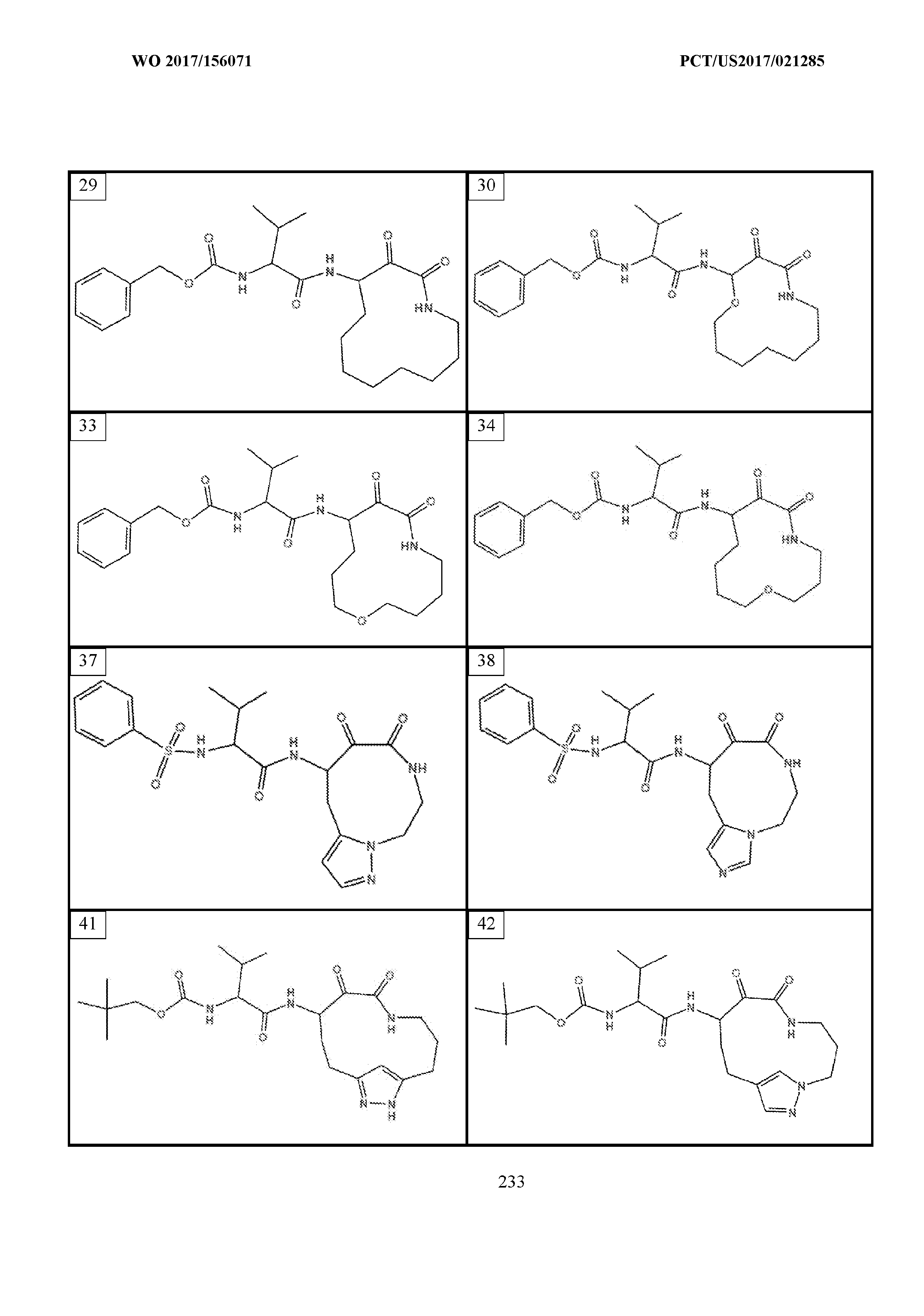 Figure imgf000234_0001
