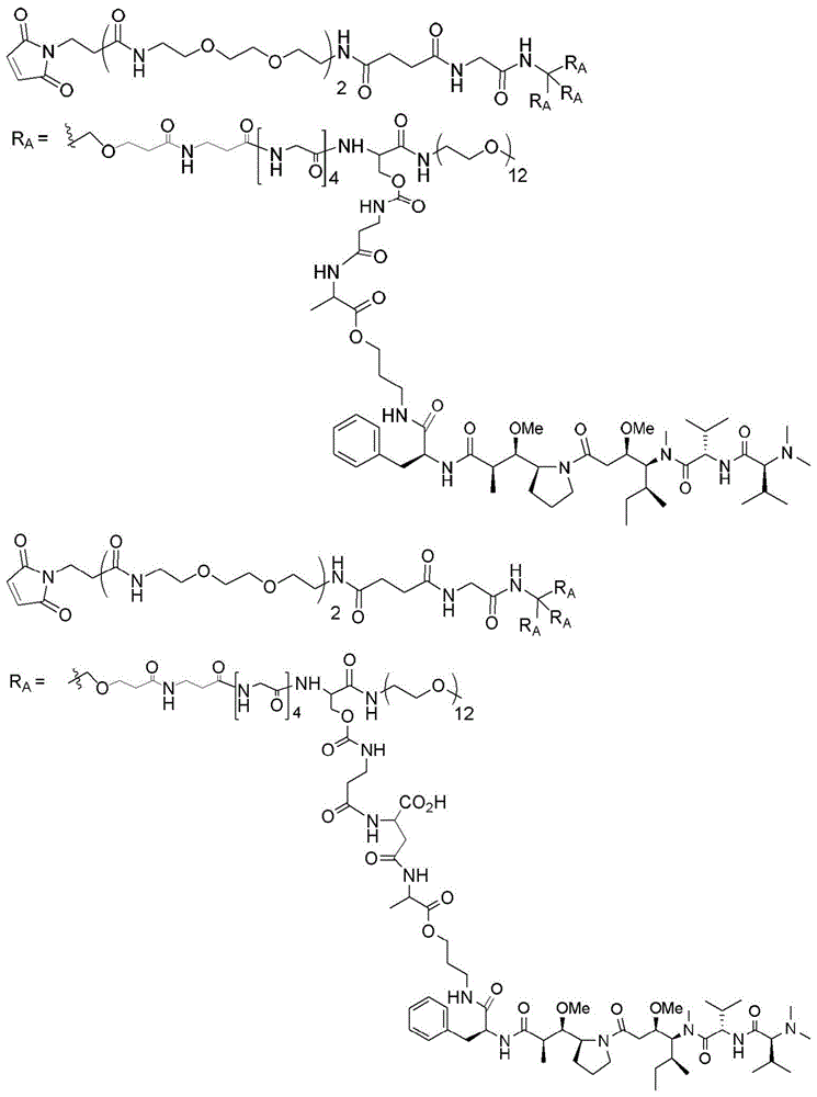 Figure BDA0003135424430001781