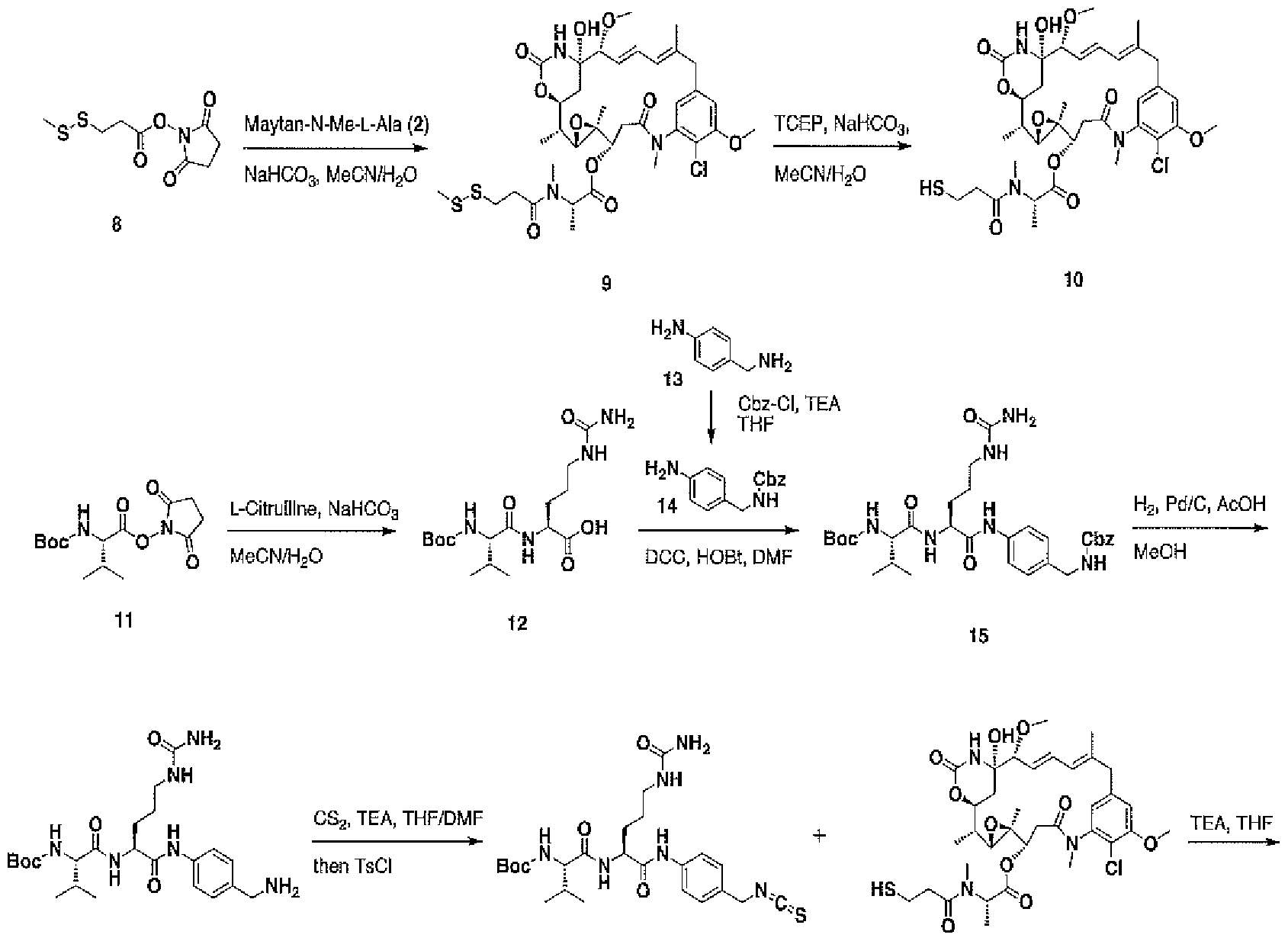 Figure imgf000051_0002