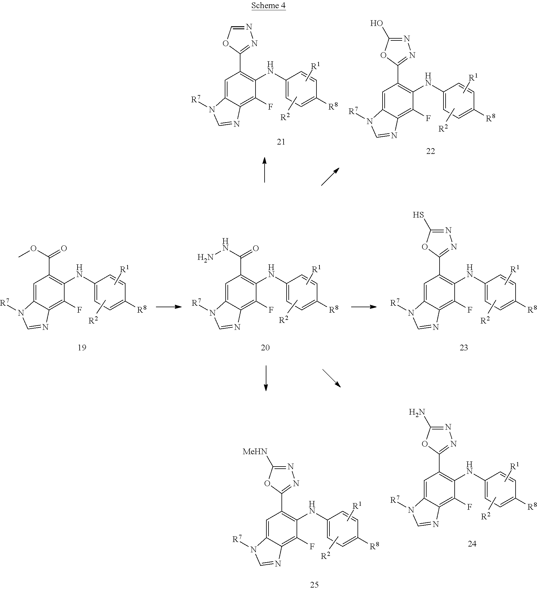 Figure US08193231-20120605-C00010