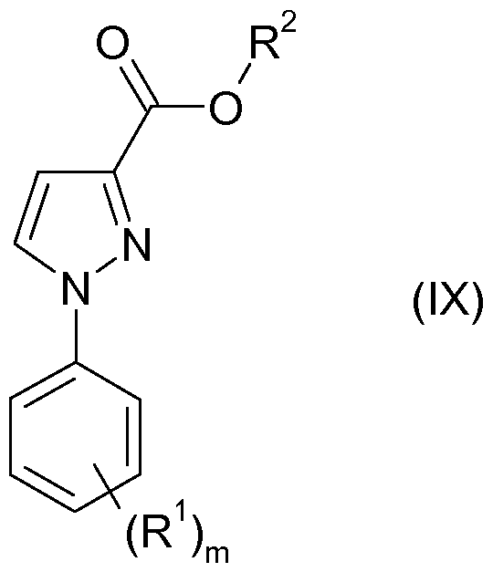 Figure imgf000050_0001