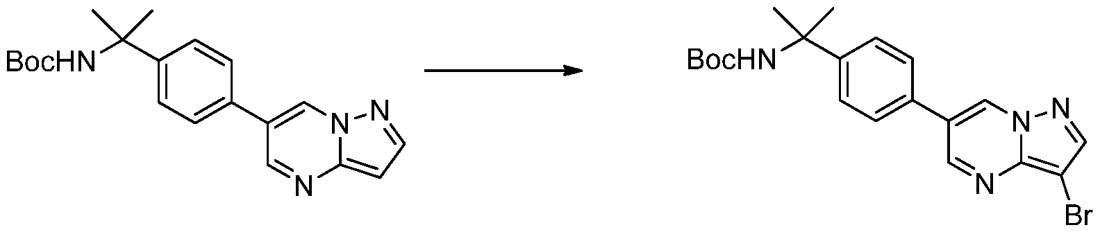 Figure imgf000219_0003