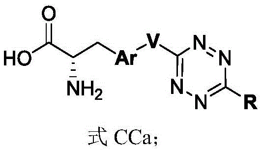 Figure BDA0003508738070000862