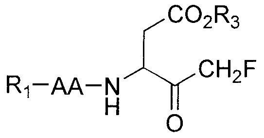 Figure imgf000048_0001