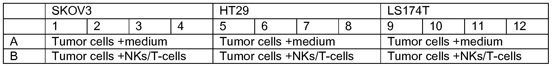 Figure imgf000035_0001