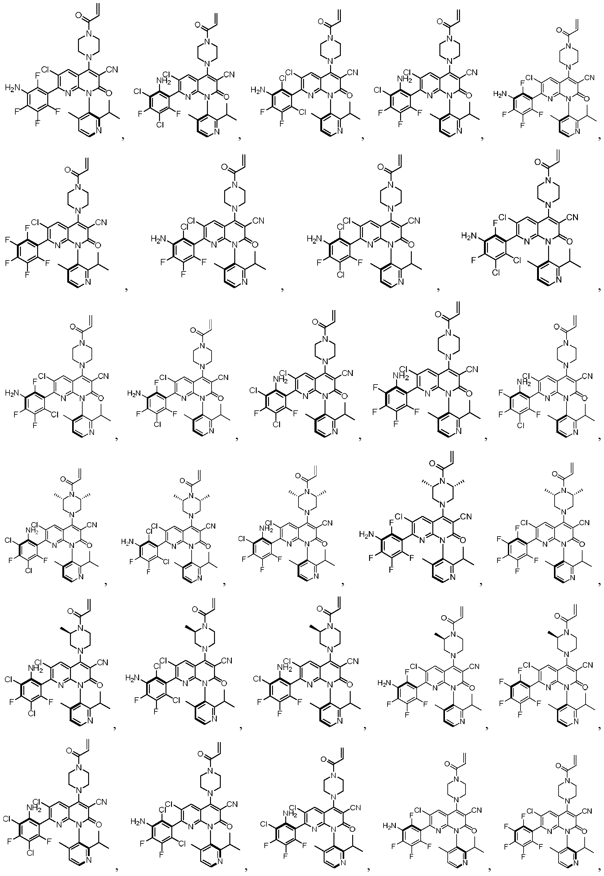Figure PCTCN2020137497-appb-000107