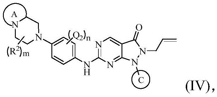 Figure FDA0003219200940000052