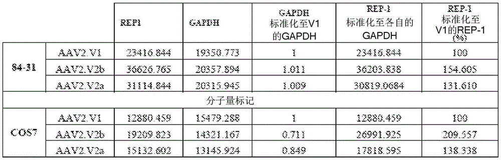 Figure BDA0001764338830000431