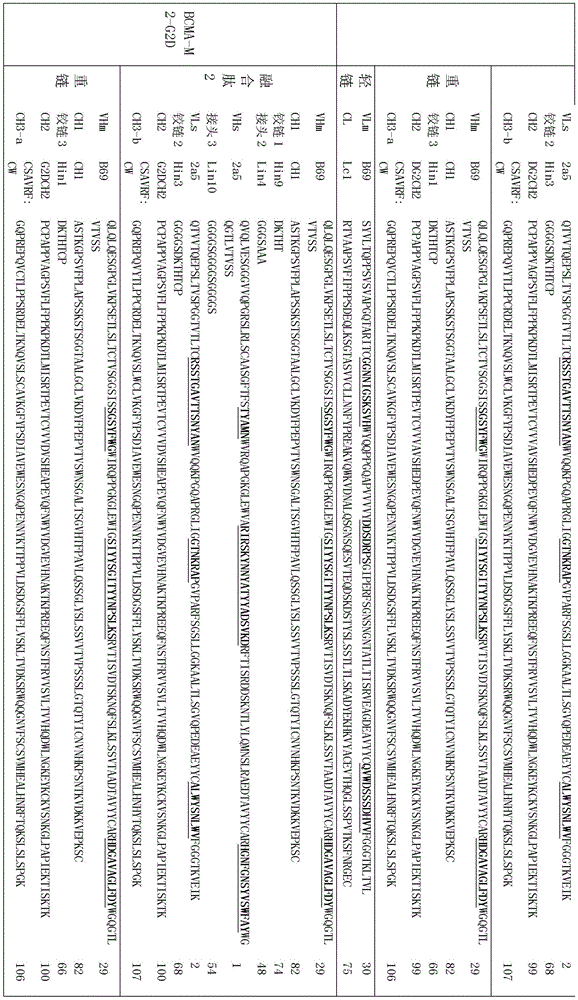 Figure BDA0002336612250000941