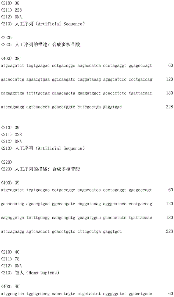 Figure IDA0002872168960002421