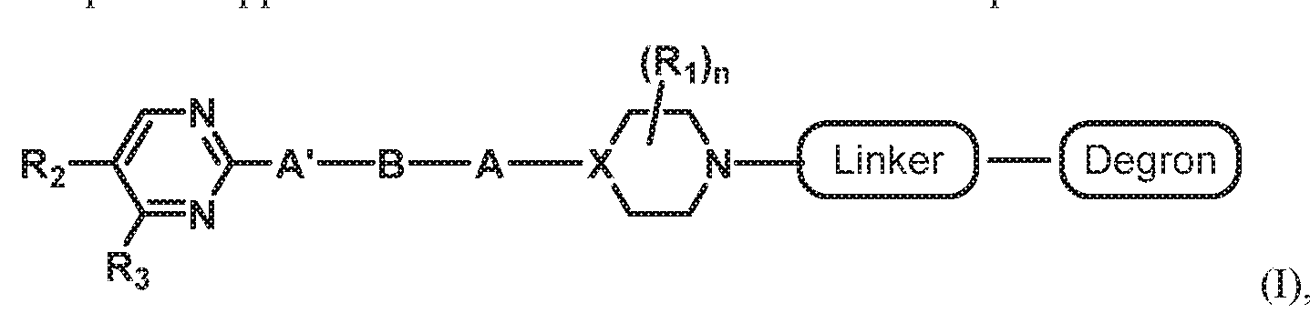 Figure imgf000005_0001
