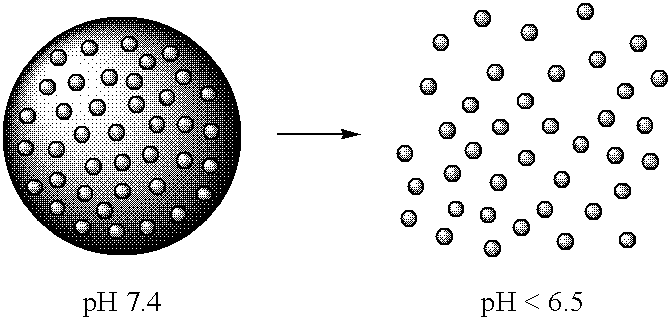 Figure US20100036084A1-20100211-C00017