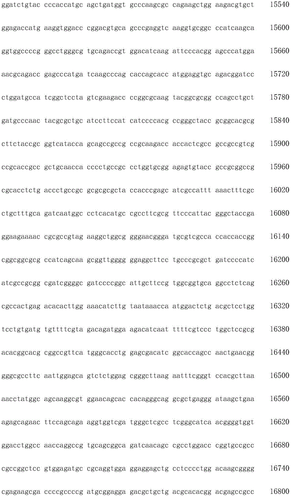 Figure IDA0002872168960001931