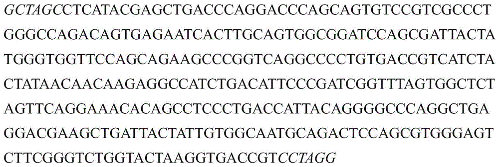 Figure GDA0003152722340000923