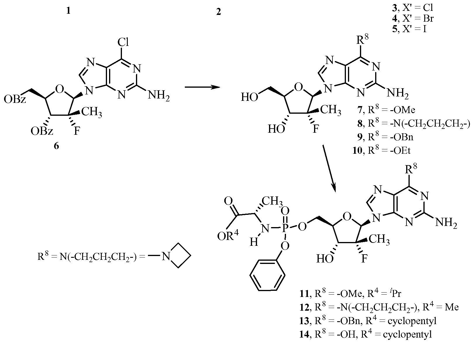Figure imgf000036_0002