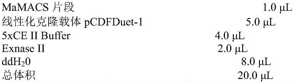 Figure BDA0003637730690000091