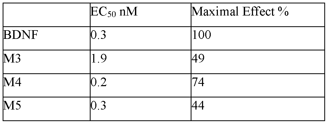Figure imgf000152_0002