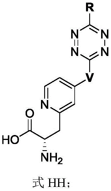 Figure BDA0003508738070000881
