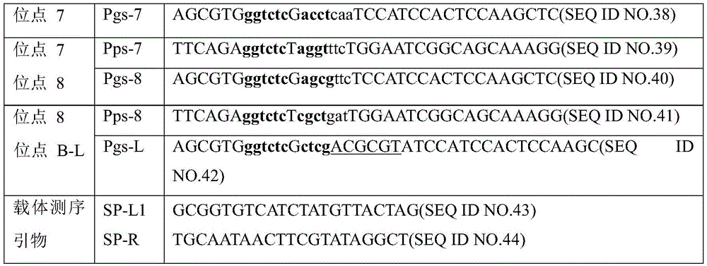 Figure BDA0003740674620000171