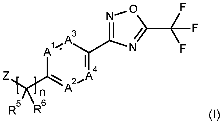 Figure imgf000002_0001