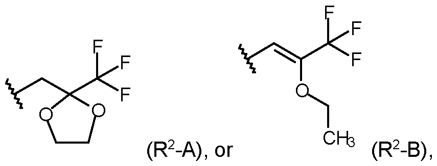 Figure imgf000004_0002