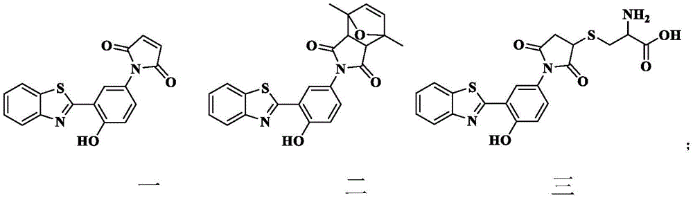Figure FDA0003937403660000011