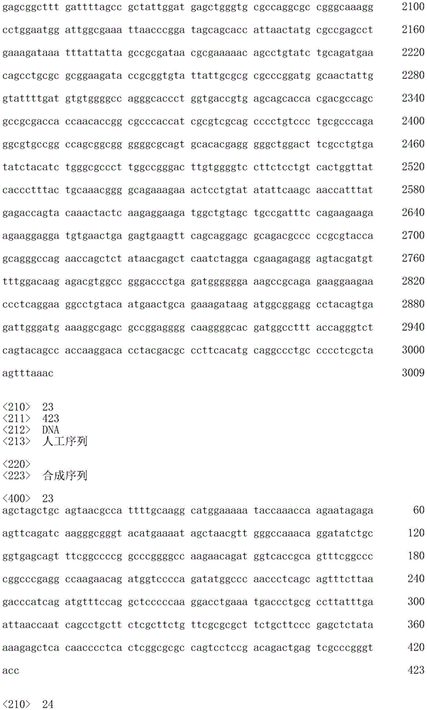 Figure IDA0001542153210000571