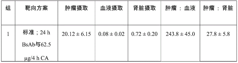 Figure BDA0002763179510001372