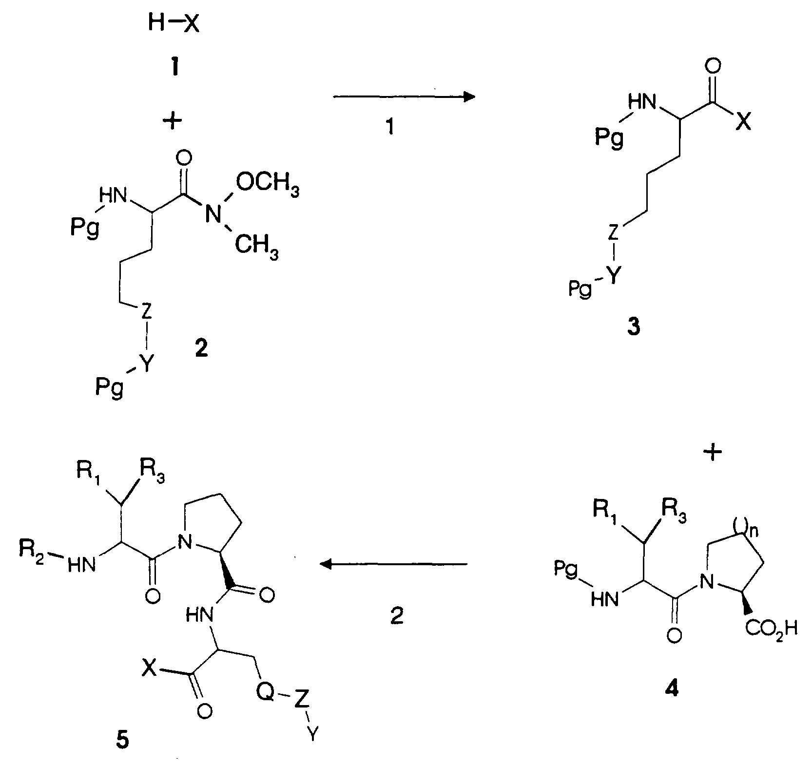 Figure imgf000028_0001