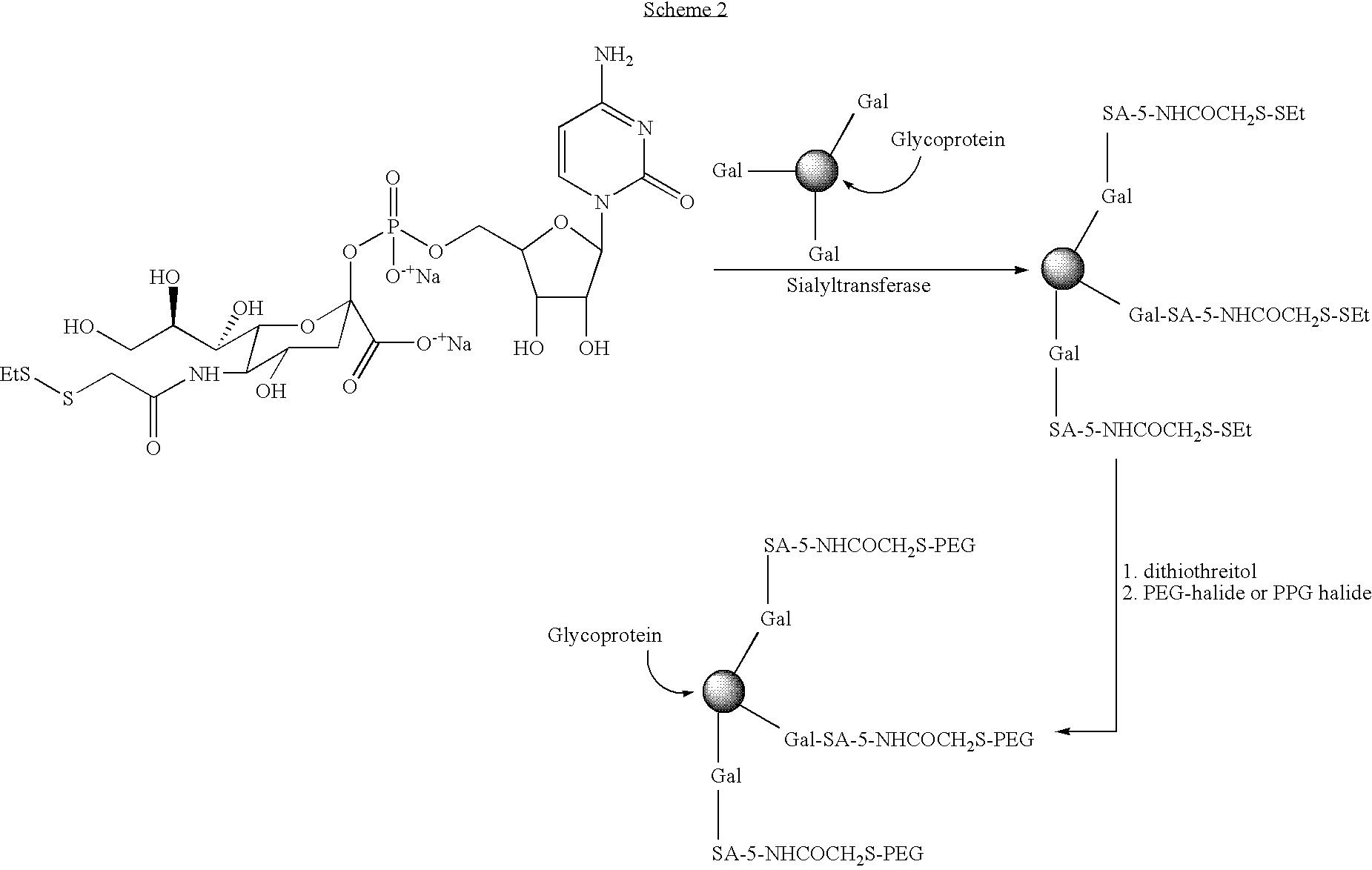 Figure US20070254836A1-20071101-C00047