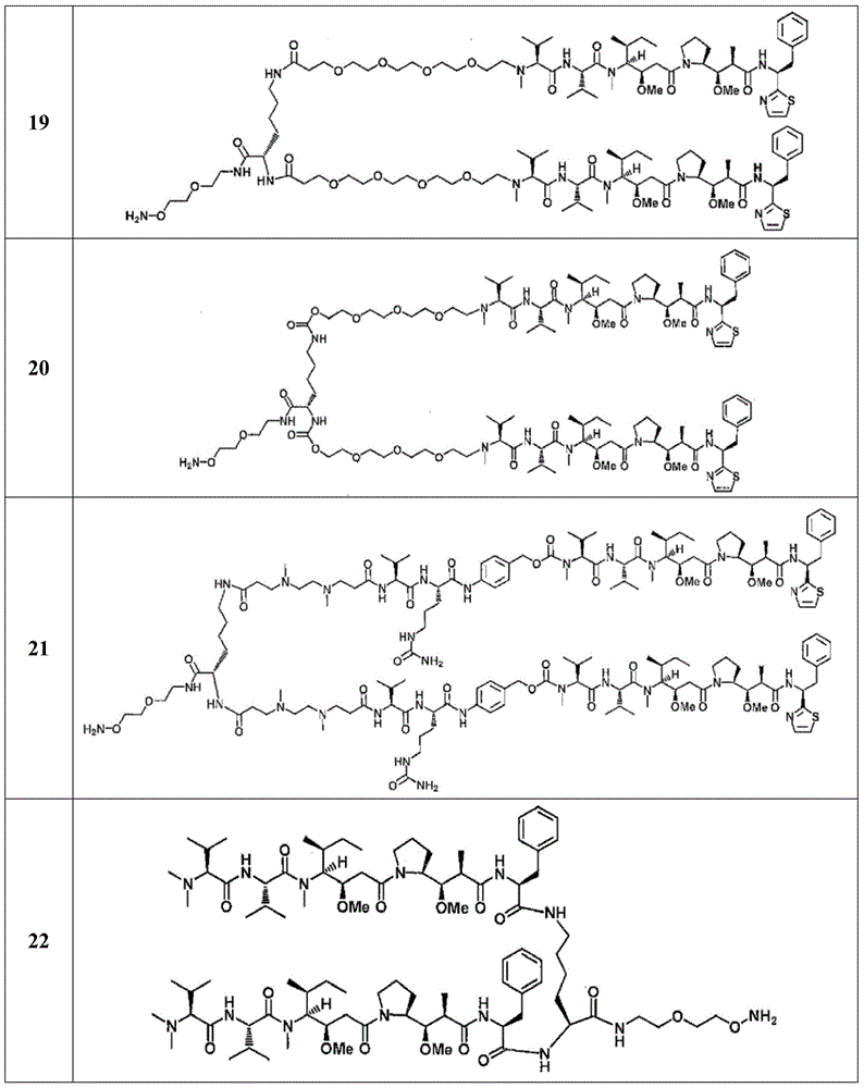 Figure BDA0000672139580002001