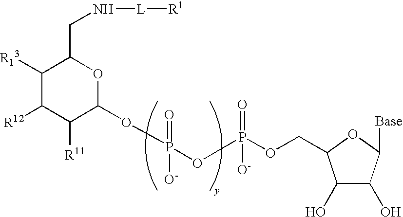 Figure US20100330645A1-20101230-C00130