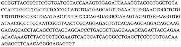 Figure 71148DEST_PATH_IMAGE021