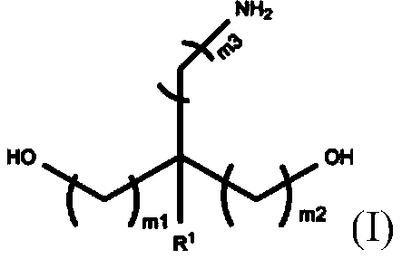 Figure PCTCN2020141227-appb-100002