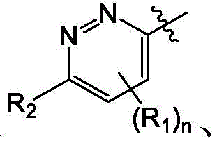 Figure BDA0004113614020001356