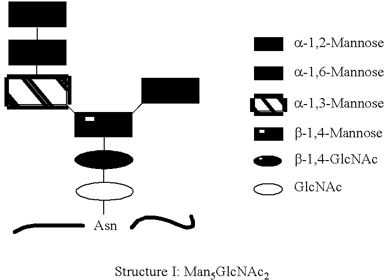 Figure US20050170452A1-20050804-C00001