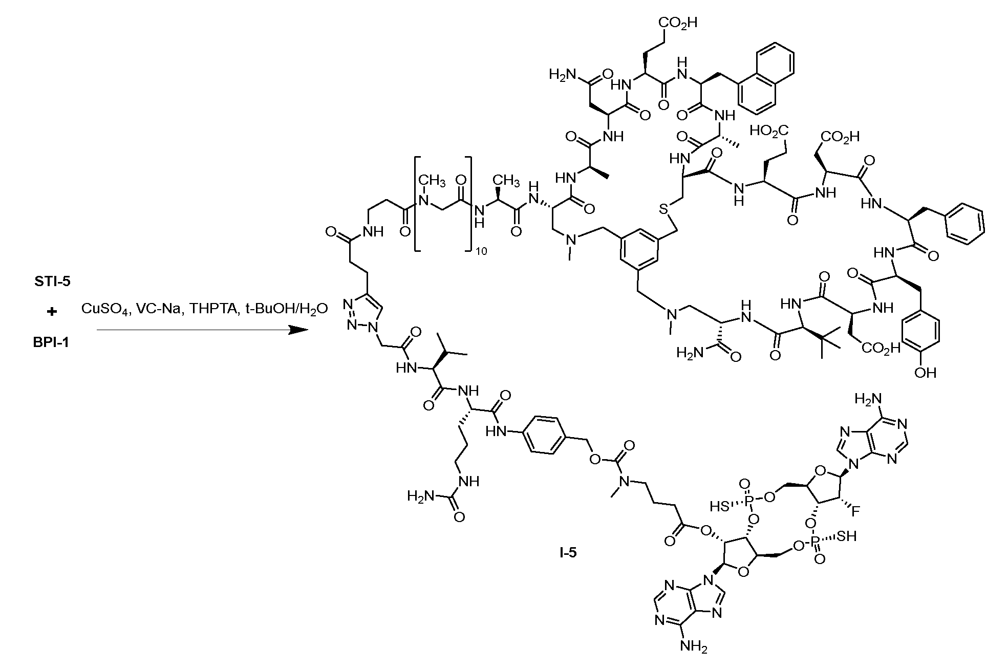 Figure imgf000271_0001