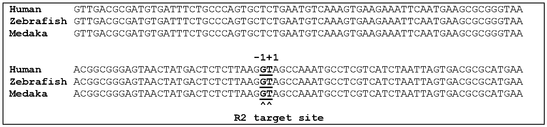 Figure imgf000012_0001