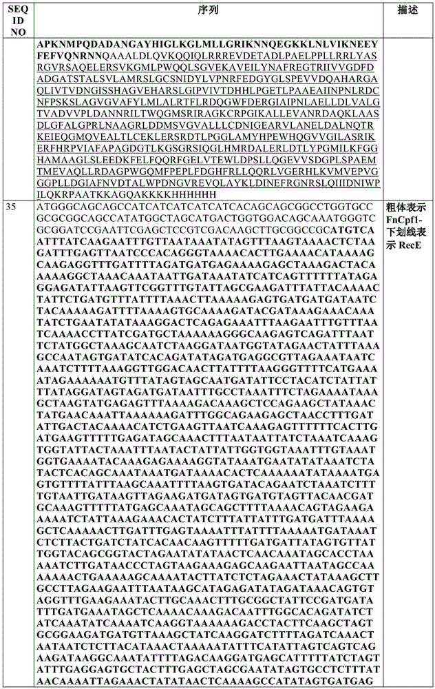 Figure BDA0002550795540001241