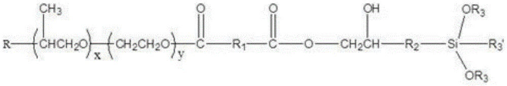 Figure FDA0002981881800000011