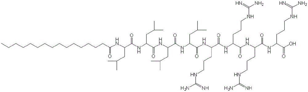 Figure GDA0003512434560000011