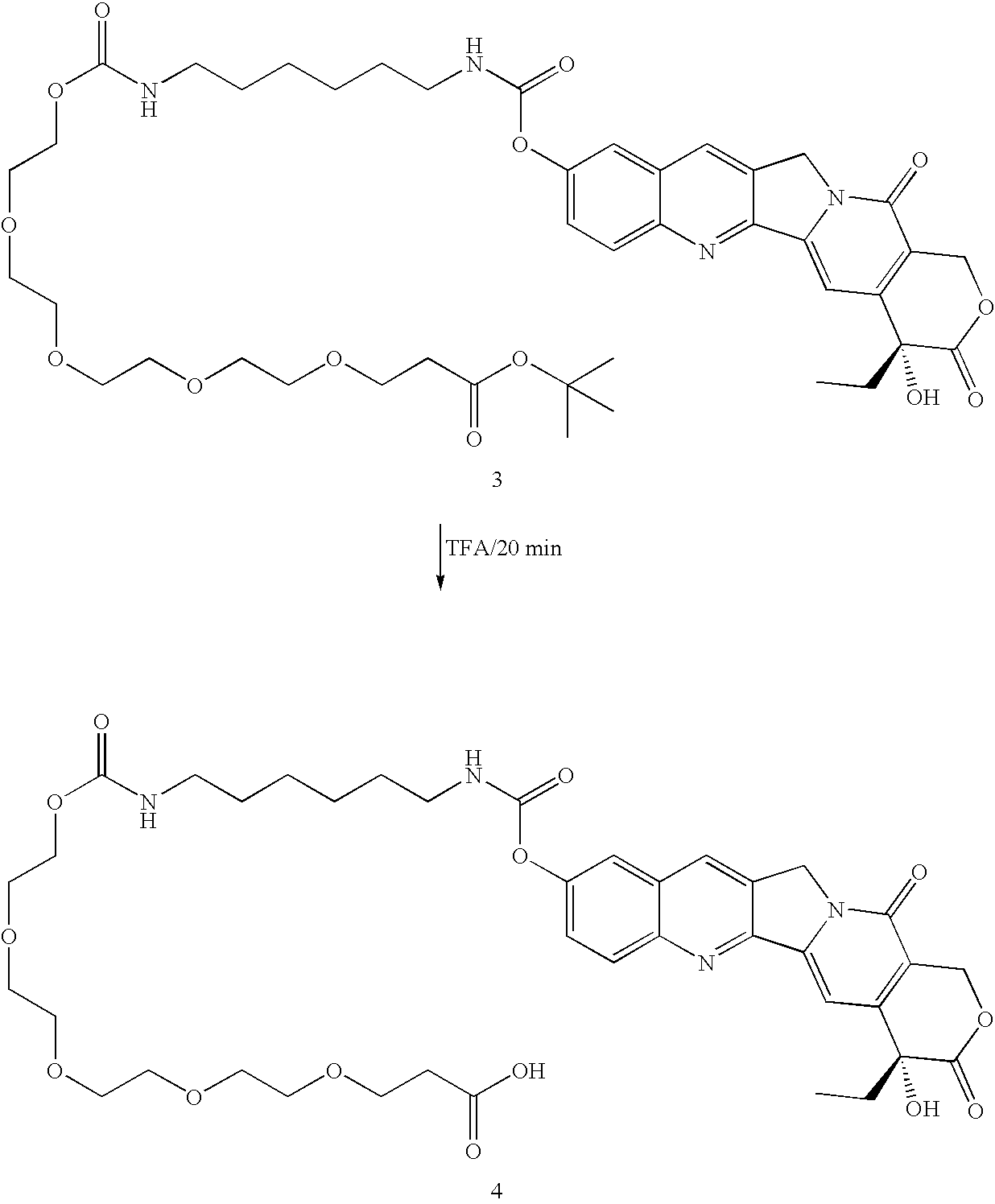Figure US20060029586A1-20060209-C00041