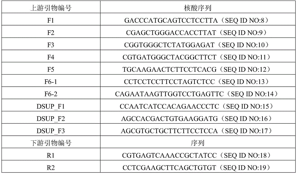 Figure BDA0003483335710000101