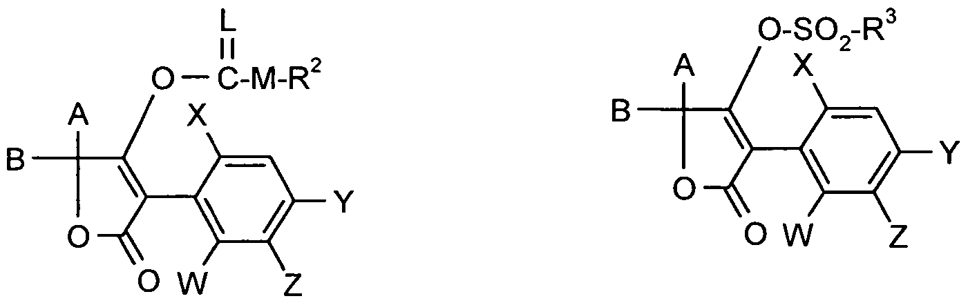 Figure imgf000007_0002