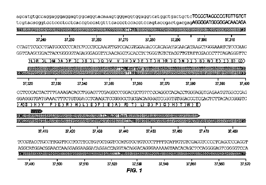 Figure 2023520572000001