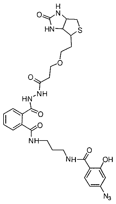 Figure imgf000039_0001