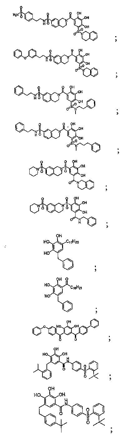 Figure 112007022015461-PCT00051